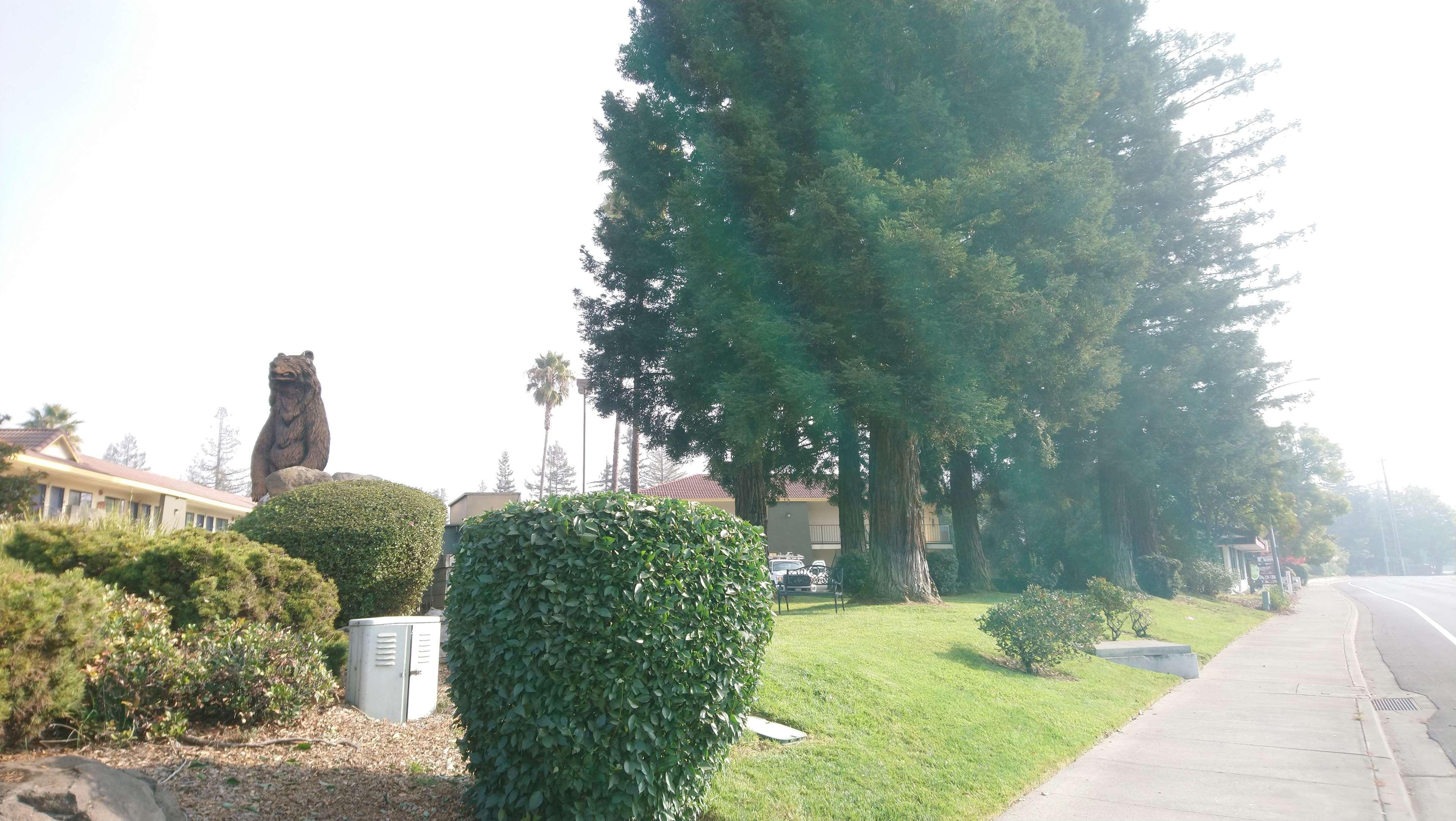 Sonoma Winegrower's Hotel Rohnert Park